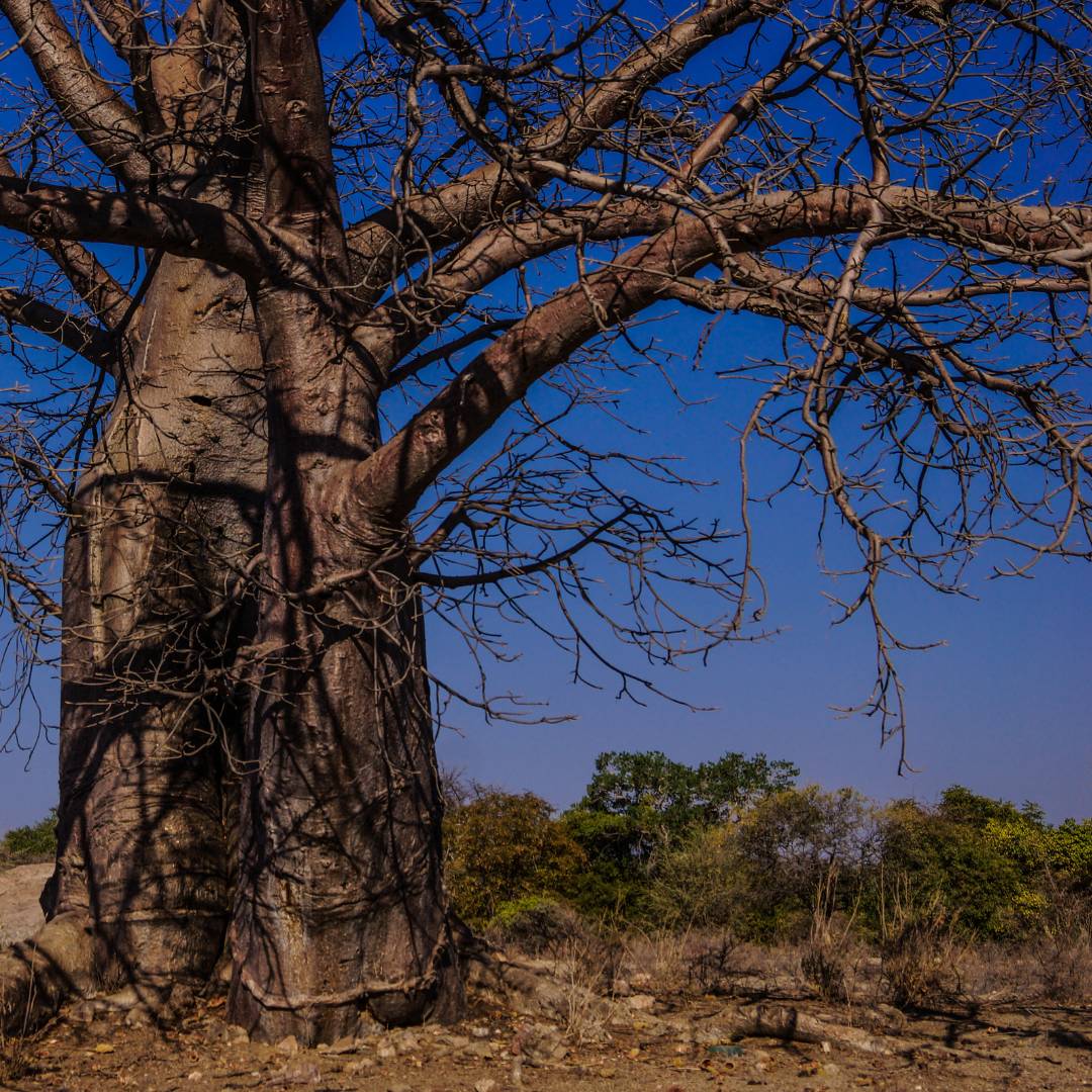 Angola Desierto 3